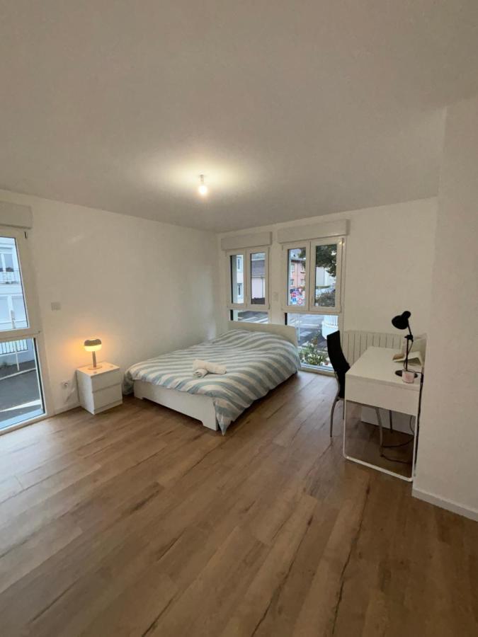 Appartement + Parking + Terrasse ミュルーズ エクステリア 写真