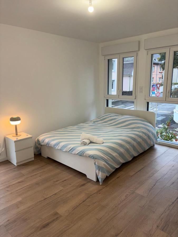 Appartement + Parking + Terrasse ミュルーズ エクステリア 写真